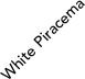 White Piracema