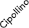 Cipollino